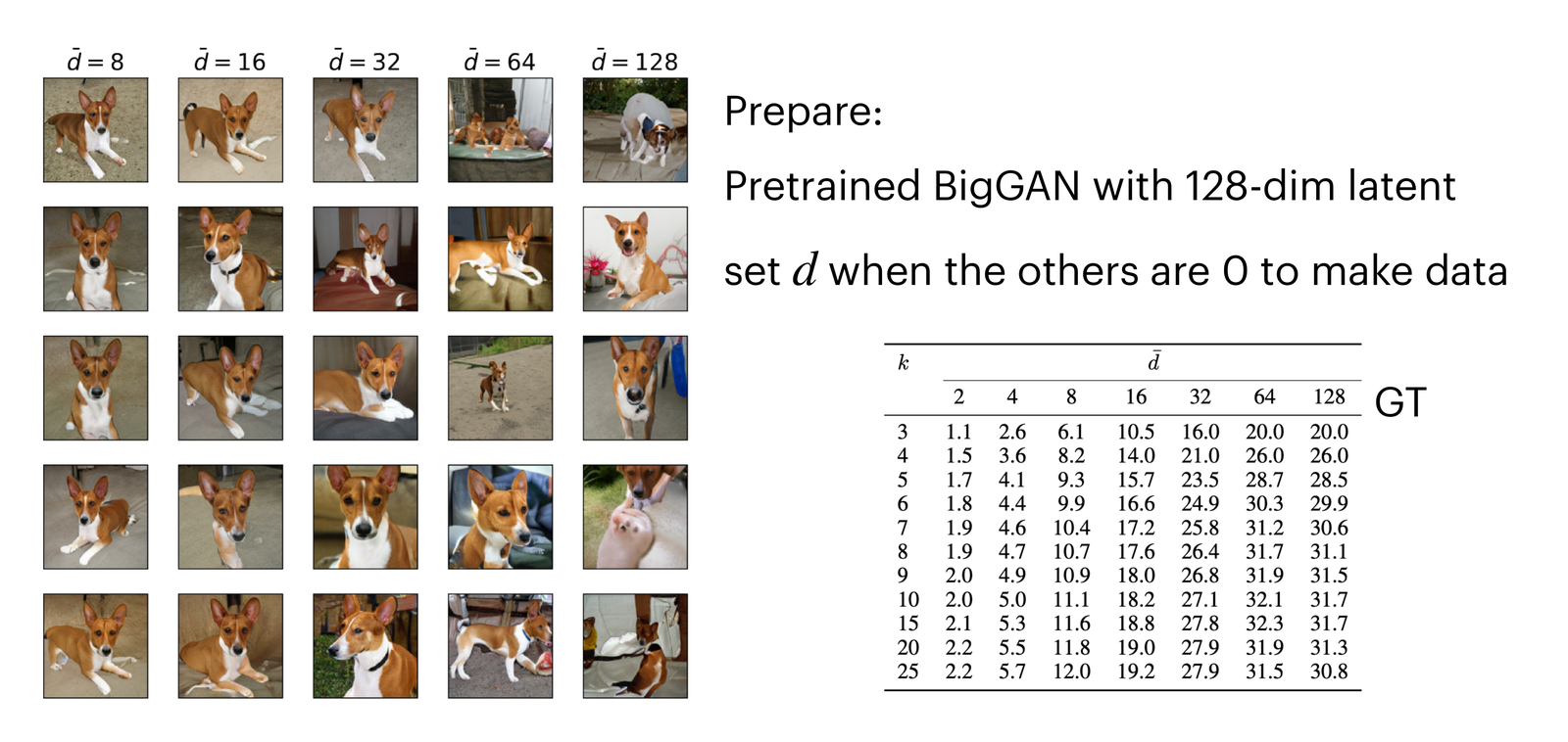 BigGAN-generated dog images at increasing latent dimension, with the table of MLE estimates