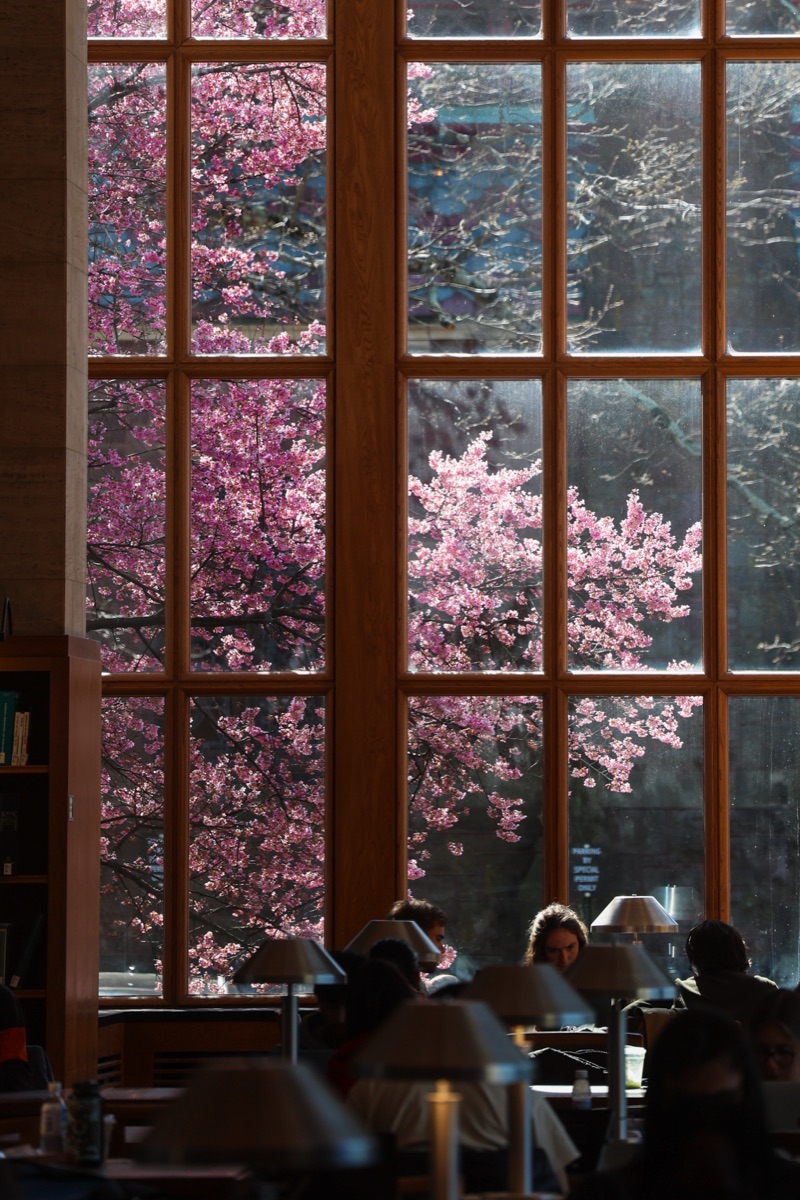 Mar 28, 2025 · Princeton, NJ