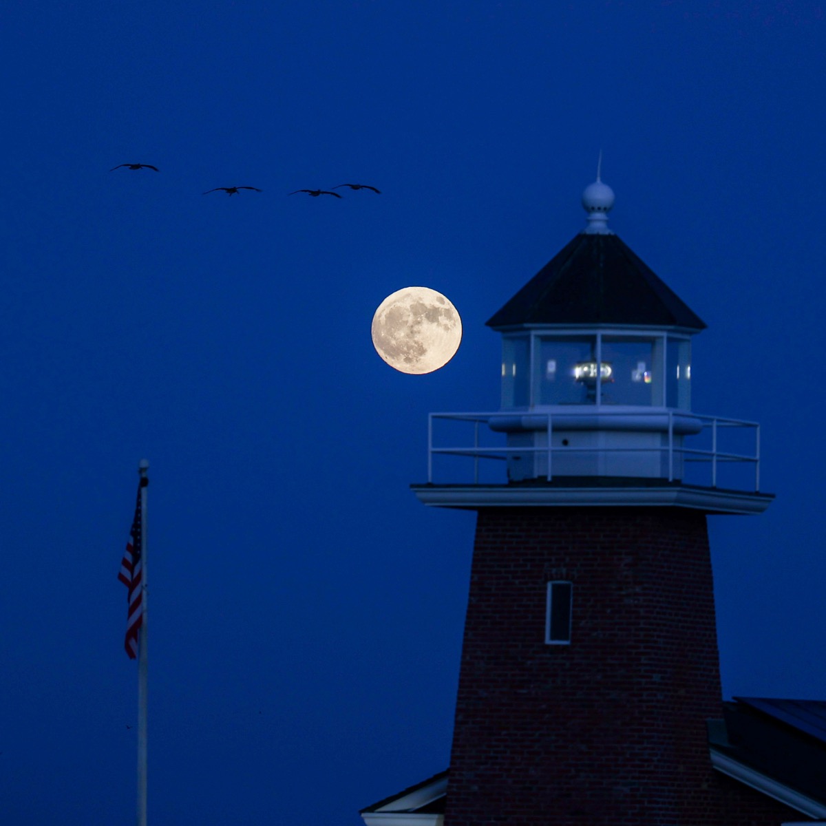 Jul 28, 2026 · Santa Cruz, CA — Two lights
